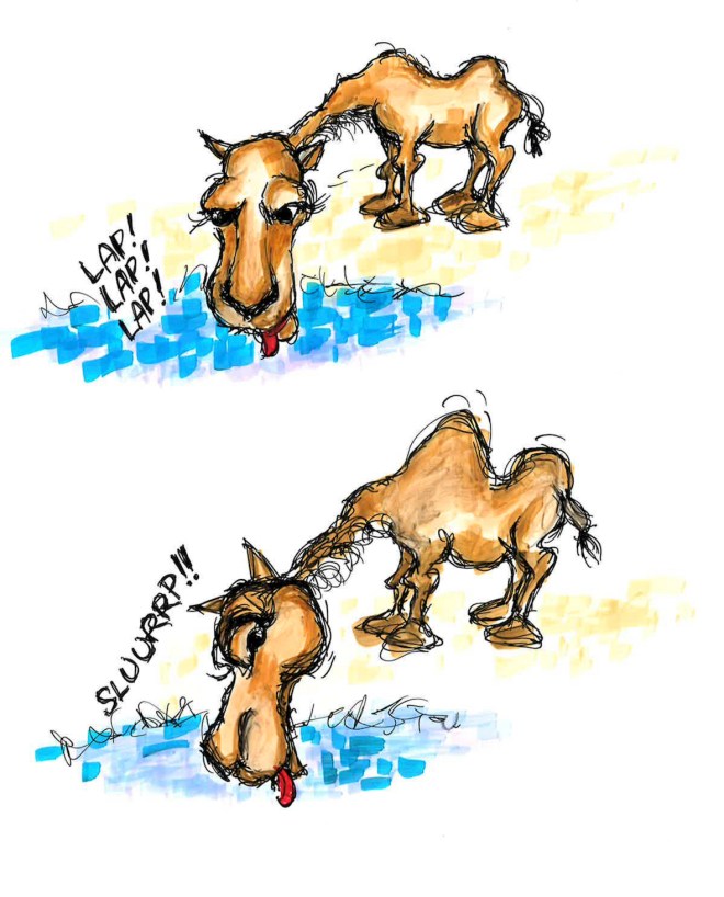 camel2_small