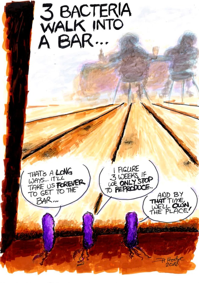 bacteria_bar