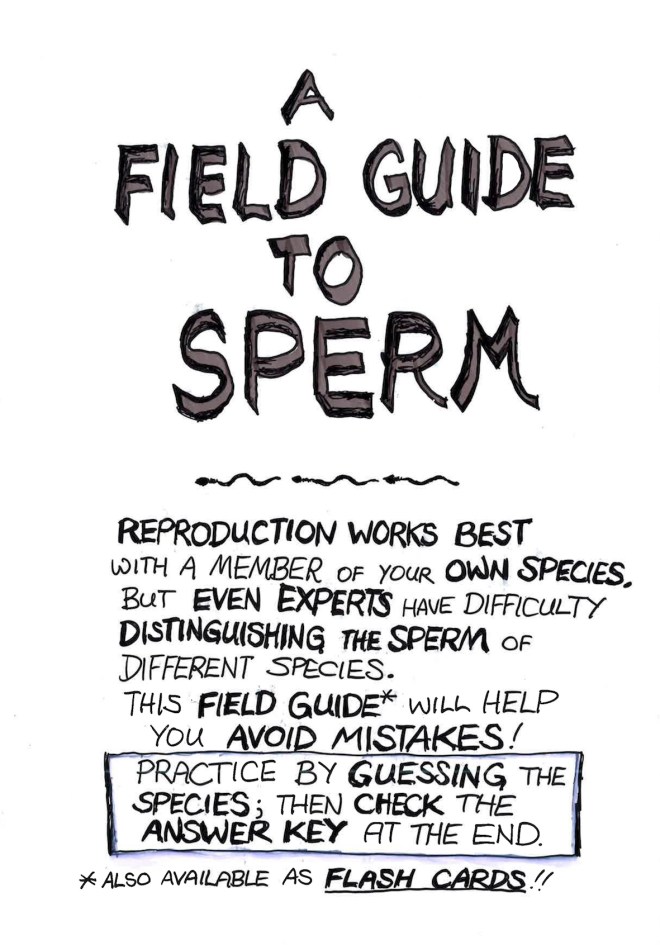 sperm1