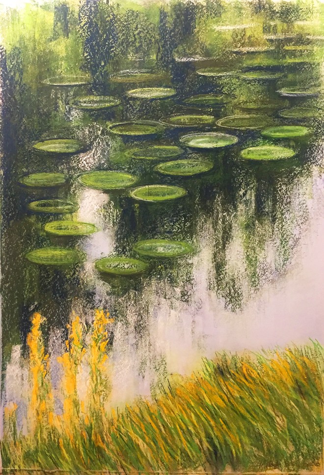 Water lilies from Holland